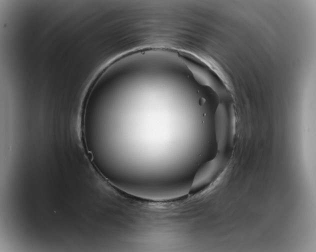 X0000088890904200706081246