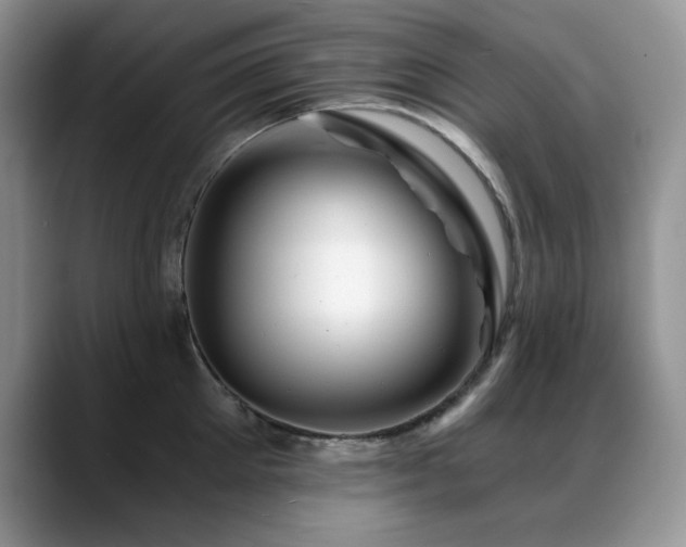 X0000088890905200706081246