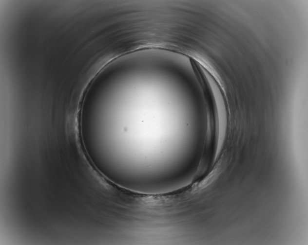 X0000088890906200706081246