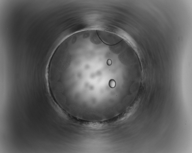 X0000088890907200706081246