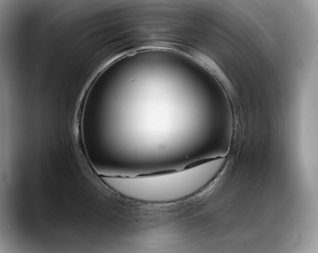 X0000088890908200706081246