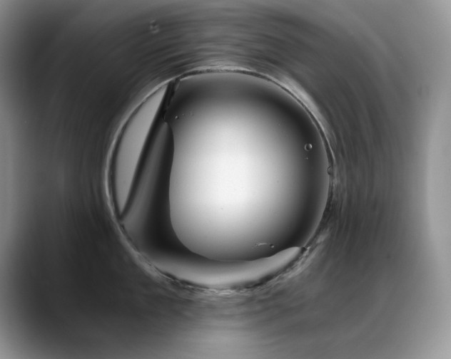 X0000088890909200706081246