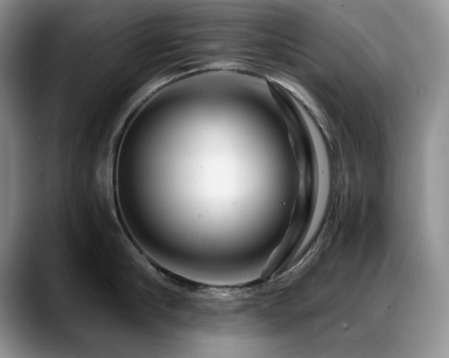 X0000088890910200706081246