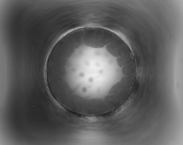 X0000088890911200706081245