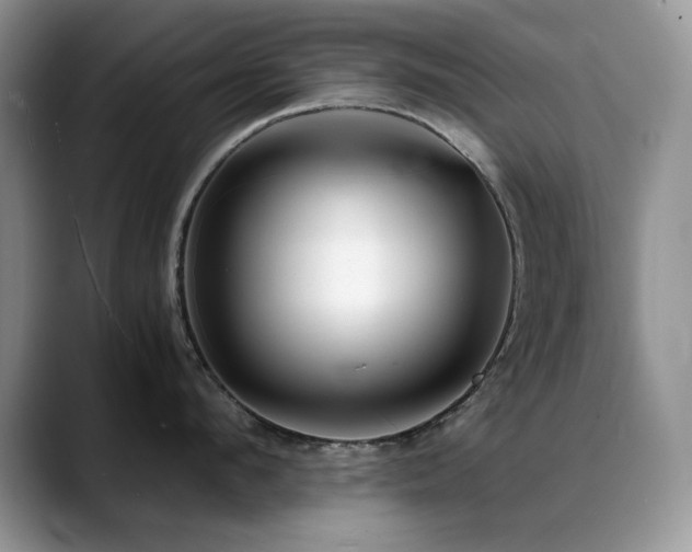 X0000088890912200706081245