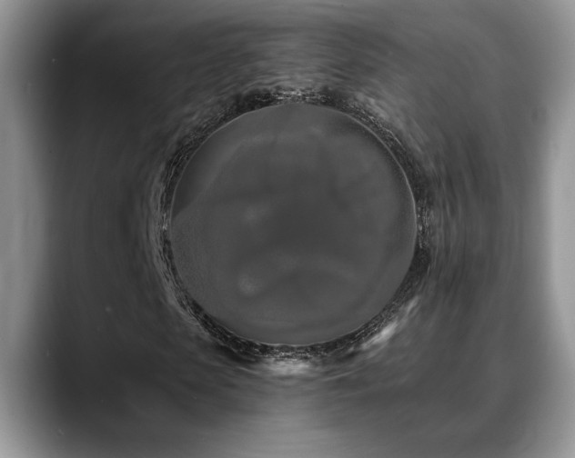 X0000088890913200706081245