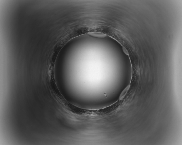 X0000088890914200706081245
