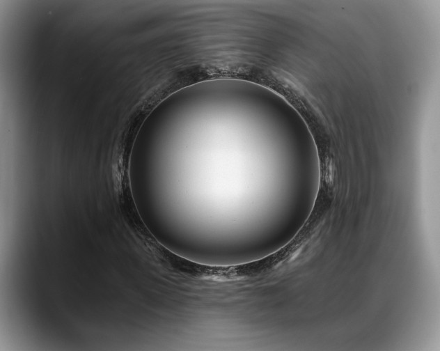 X0000088890915200706081245