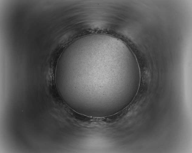 X0000088890918200706081245