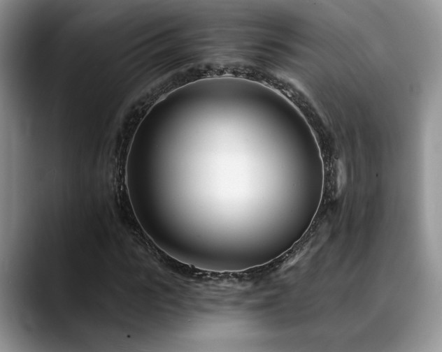 X0000088890919200706081245