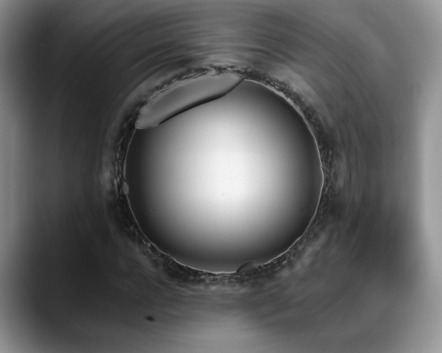 X0000088890920200706081245