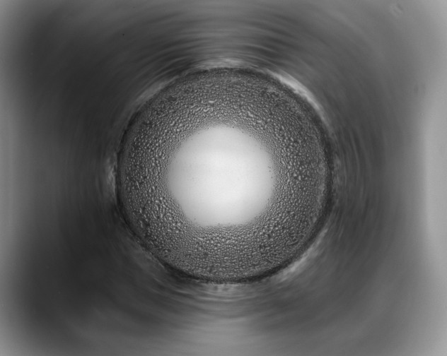 X0000088890921200706081245