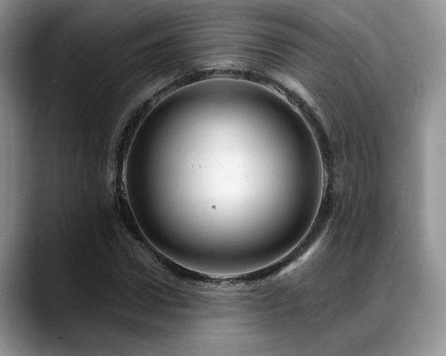 X0000088890922200706081245