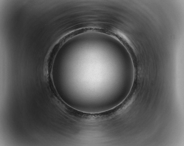 X0000088890923200706081245