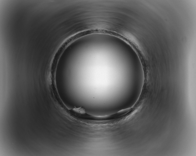 X0000088890924200706081245