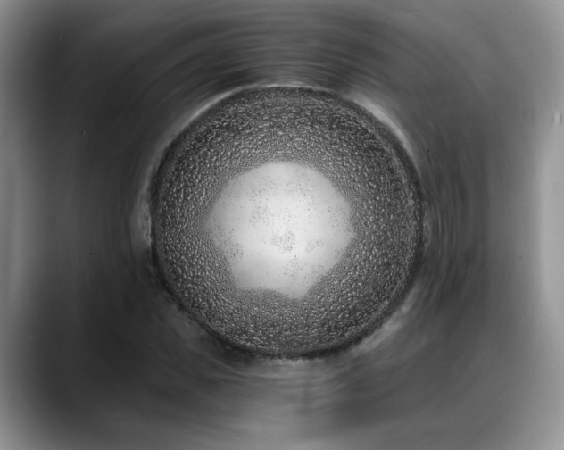 X0000088890925200706081245