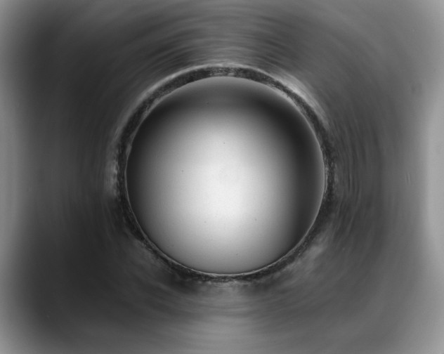 X0000088890926200706081245