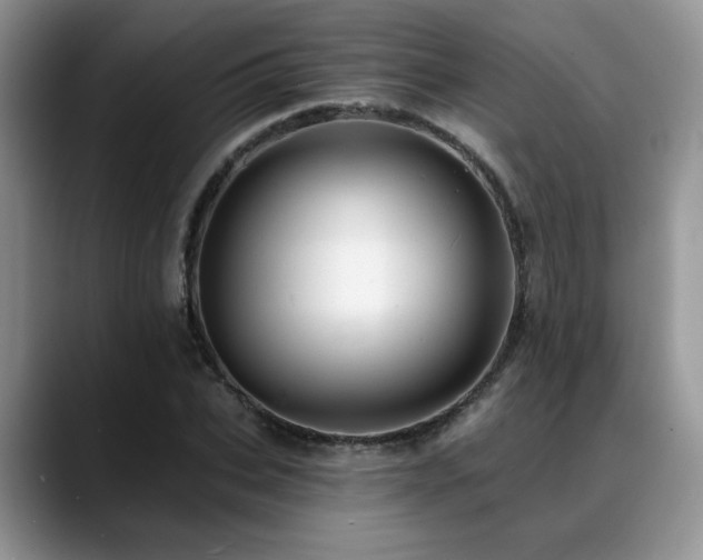 X0000088890927200706081245