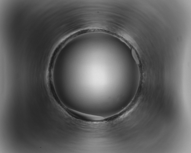 X0000088890928200706081245