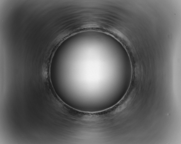 X0000088890929200706081245