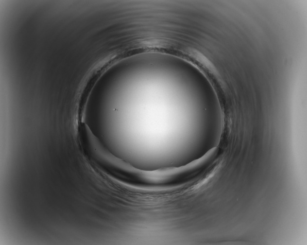 X0000088890930200706081245