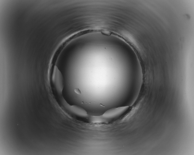 X0000088890932200706081245