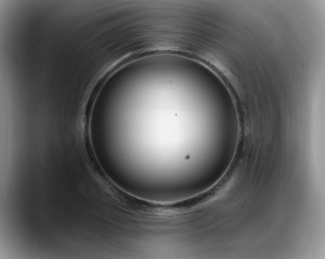 X0000088890933200706081245