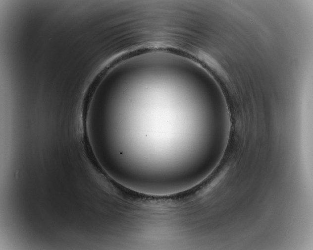 X0000088890934200706081245