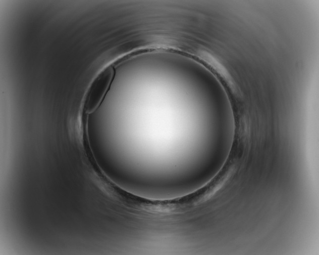 X0000088890936200706081245