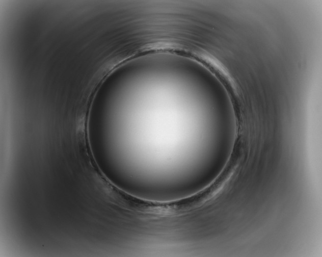 X0000088890937200706081245