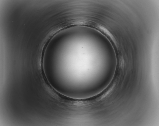 X0000088890938200706081245