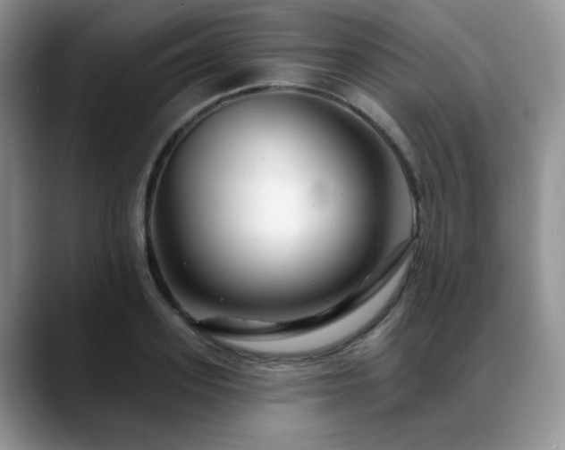 X0000088890939200706081245