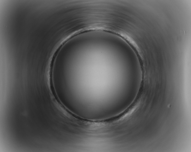X0000088890941200706081245