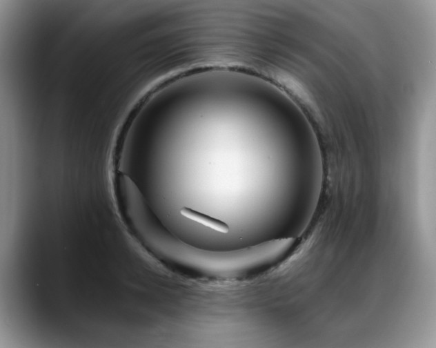 X0000088890942200706081245