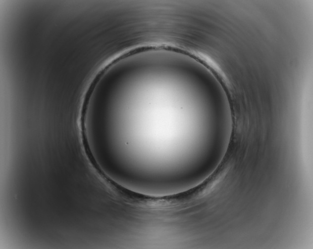 X0000088890943200706081245