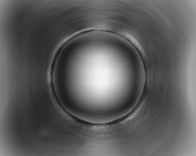 X0000088890944200706081245