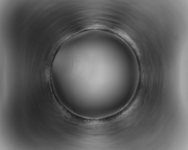 X0000088890945200706081245