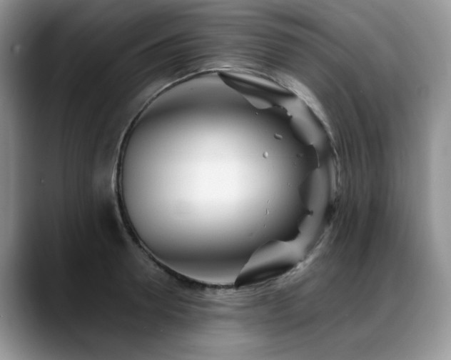 X0000088890946200706081245