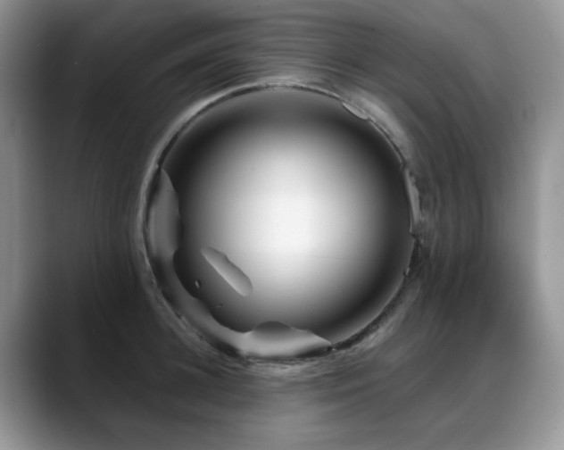 X0000088890948200706081245