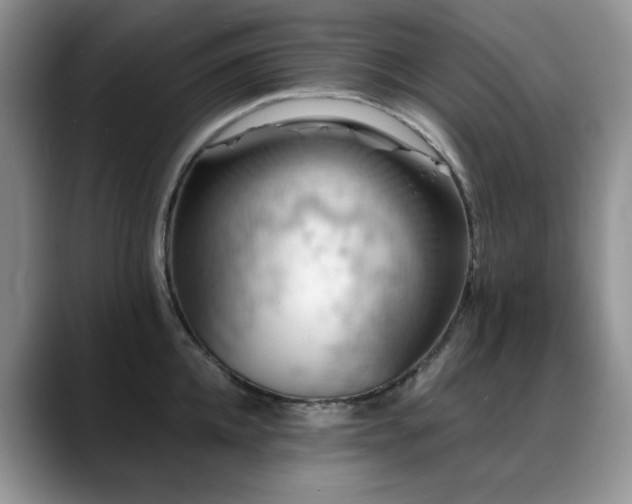 X0000088890952200706081245