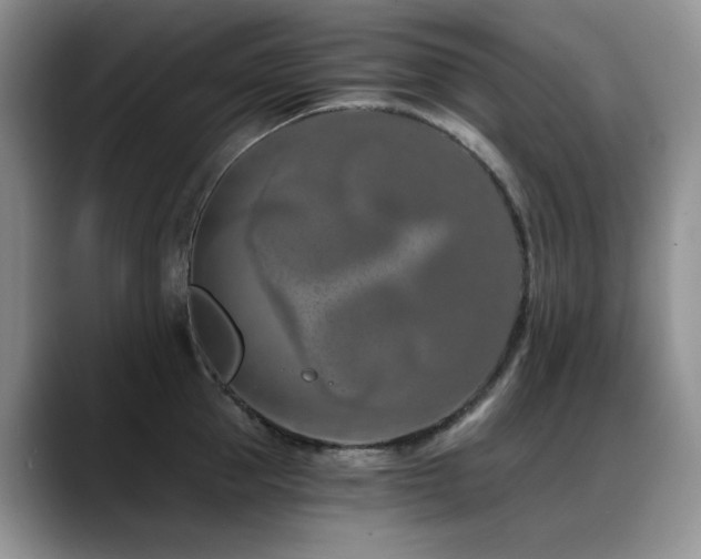 X0000088890953200706081245