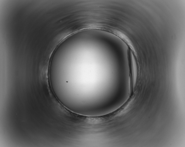 X0000088890954200706081245