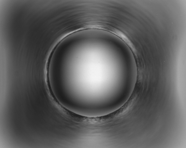 X0000088890955200706081245