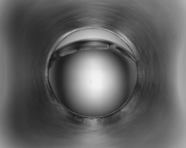 X0000088890956200706081245