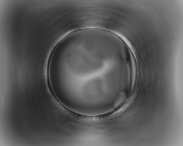 X0000088890957200706081245