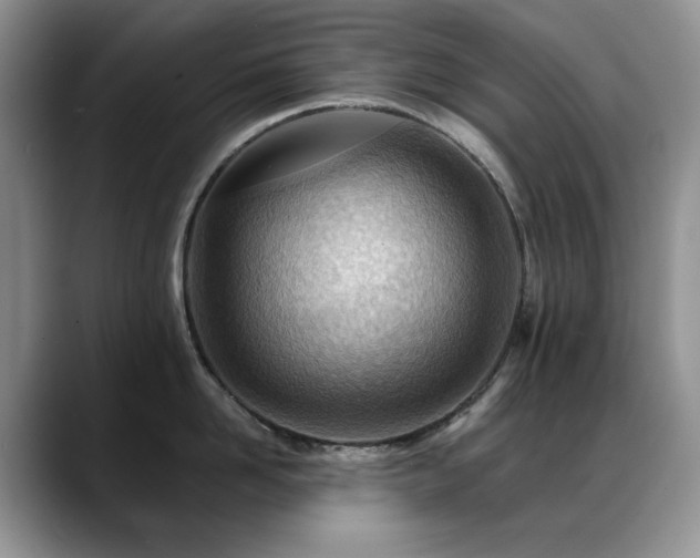 X0000088890958200706081245