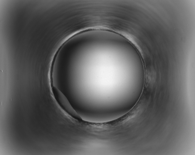X0000088890959200706081245