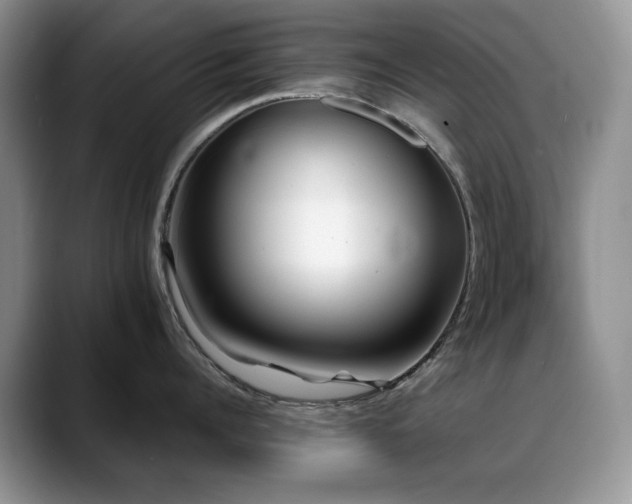 X0000088890960200706081245