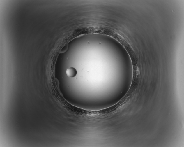 X0000088890961200706081245