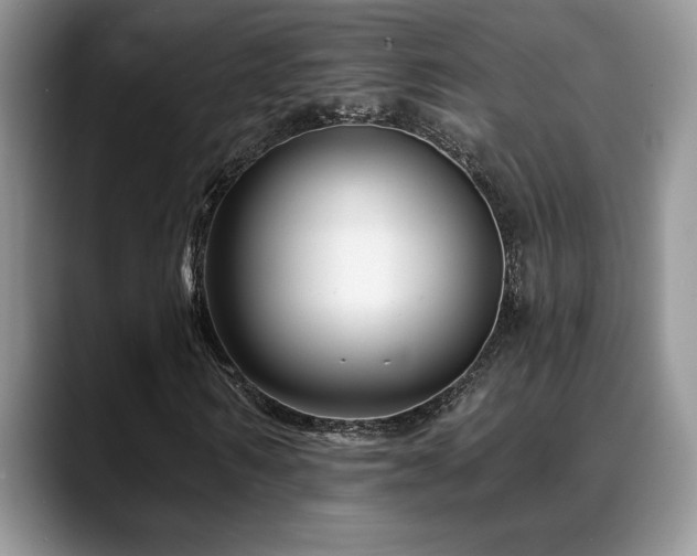 X0000088890962200706081245